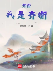 知否：我是齐衡